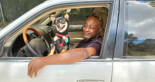 Man with dog in car