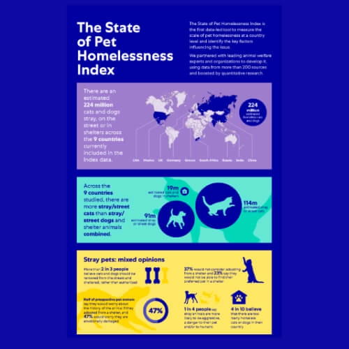 State of Pet Homelessness Index Infographic