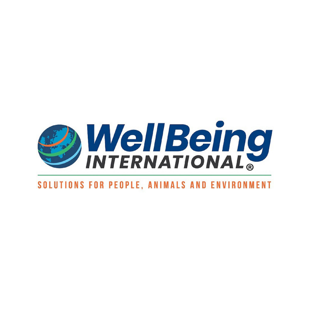 Wellbeing International logo