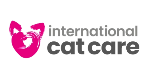 International Cat Care