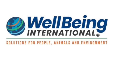 Wellbeing International