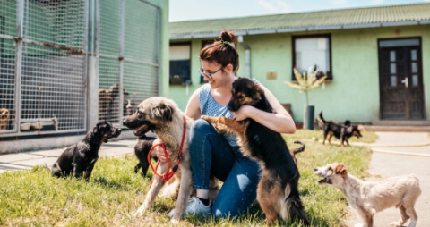 Girl caring for dog
