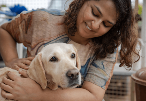 Human petting a dog from an animal shelter