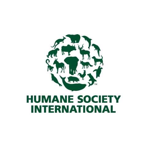 HSI logo