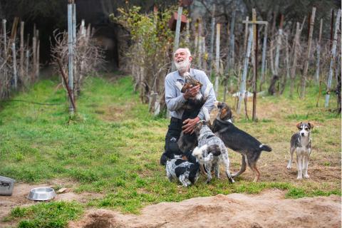 a person playing with dogs outdoors