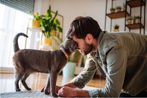man playing with his cat at home