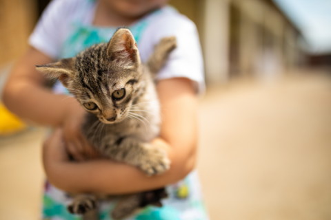 woman carrying a cat