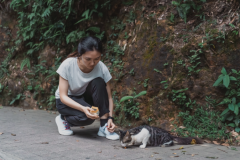 woman feeding a stray cat