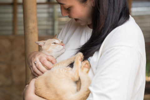 woman holding a cat